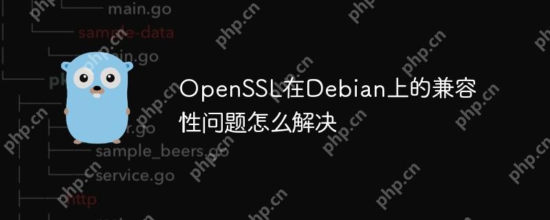 OpenSSL在Debian上的兼容性問題怎么解決-小浪學習網