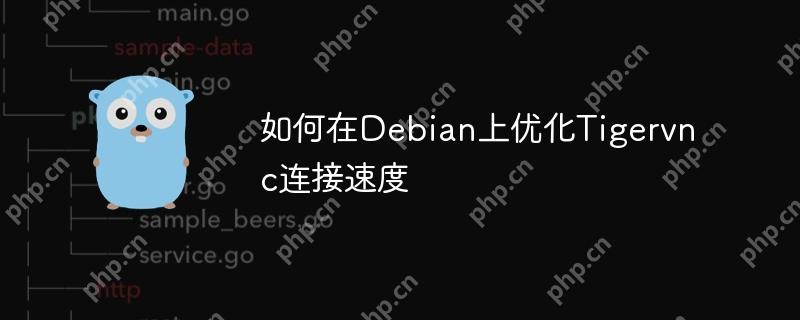 如何在Debian上優(yōu)化Tigervnc連接速度-小浪學(xué)習(xí)網(wǎng)
