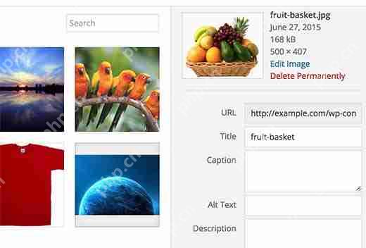 如何在 WordPress 中自動添加媒體標題-小浪學習網