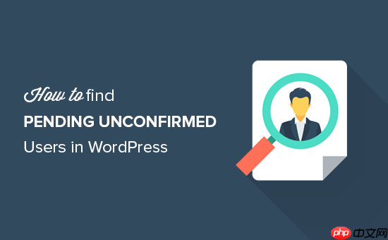如何在 WordPress 中查找待確認的用戶-小浪學習網