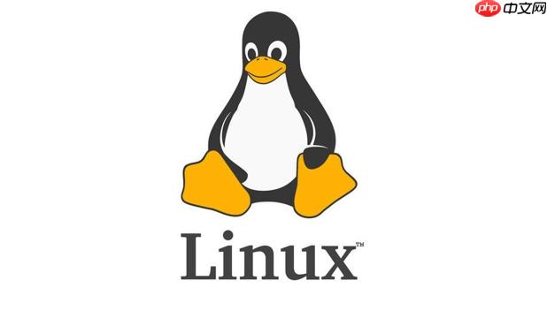 Linux如何配置PAM認(rèn)證？安全登錄策略優(yōu)化