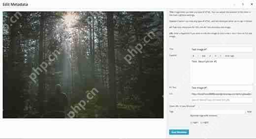 如何在 WordPress 中從 NextGEN 切換到 Envira Gallery