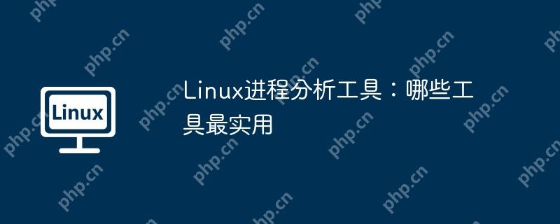 Linux進程分析工具：哪些工具最實用-小浪學習網