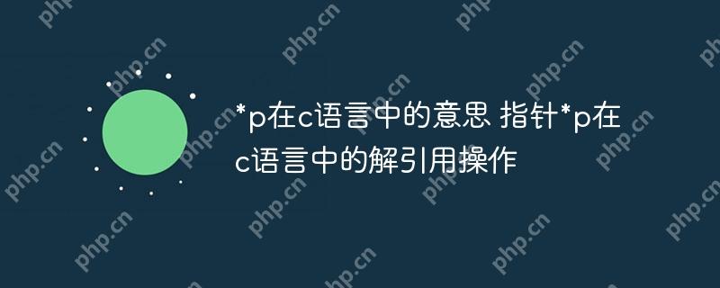 *p在c語言中的意思 指針*p在c語言中的解引用操作-小浪學習網