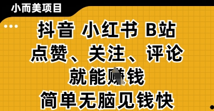 小而美的項(xiàng)目，抖音小紅書(shū)B(niǎo)站視頻點(diǎn)贊、關(guān)注、評(píng)論就能掙錢(qián)，簡(jiǎn)單無(wú)腦立見(jiàn)收益，妥妥的零擼項(xiàng)目【揭秘】-小浪學(xué)習(xí)網(wǎng)