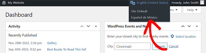 如何在多語言網站上使用英文 WordPress 管理員