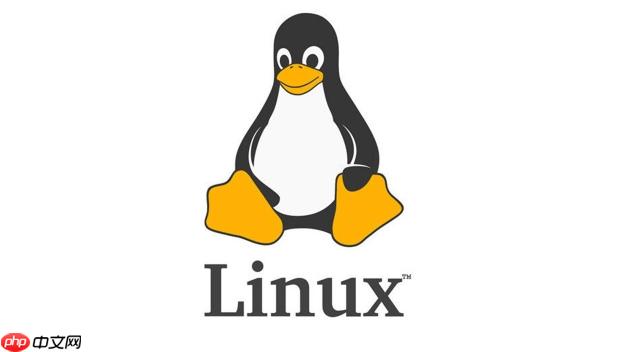 如何理解Linux根目錄結(jié)構(gòu) 主要目錄功能解析與用途說明
