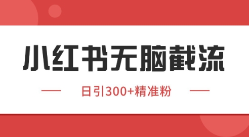 小紅書截流同行客源，獨家野路子獲客玩法 日引200+暴力獲客【揭秘】-小浪學習網