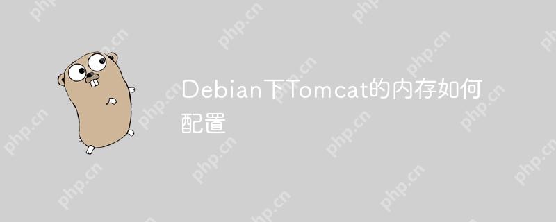 Debian下Tomcat的內存如何配置-小浪學習網