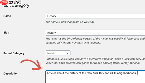 如何跟蹤 WordPress 類(lèi)別和標(biāo)簽分析（簡(jiǎn)單方法）