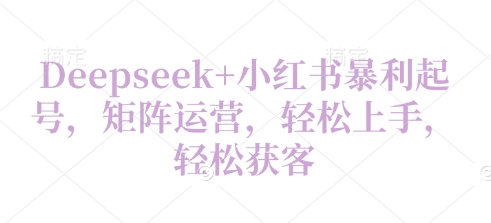 Deepseek+小紅書暴利起號，矩陣運(yùn)營，輕松上手，輕松獲客-小浪學(xué)習(xí)網(wǎng)