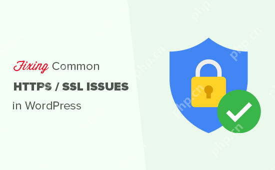 如何修復 WordPress 中的常見 SSL 問題（初學者指南）-小浪學習網