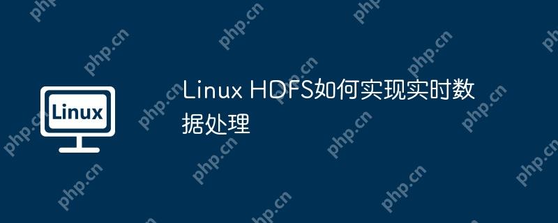 Linux HDFS如何實現實時數據處理-小浪學習網