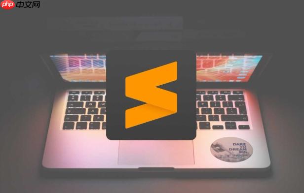 在虛擬機中使用SublimeText的性能優化