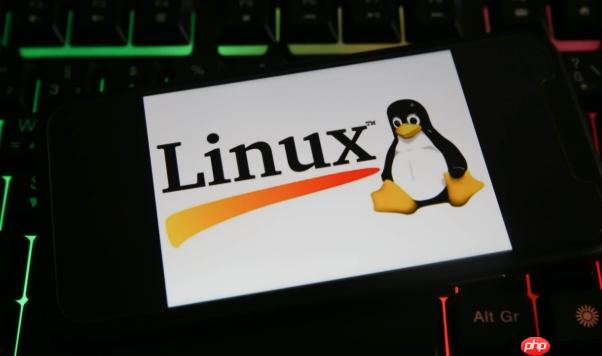 Linux如何查看目錄占用空間 du命令使用技巧