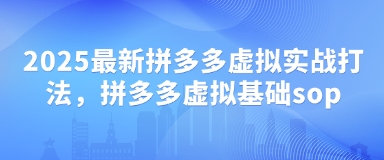 2025最新拼多多虛擬實戰(zhàn)打法，拼多多虛擬基礎sop-小浪學習網(wǎng)