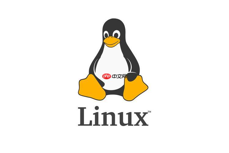 排查Linux網絡"No buffer space available"問題的指南-小浪學習網