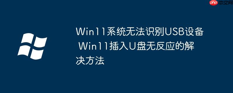 Win11系統(tǒng)無法識別USB設(shè)備 Win11插入U(xiǎn)盤無反應(yīng)的解決方法
