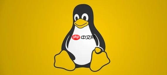 如何在Linux中刪除空目錄 rmdir命令快速清理空目錄操作