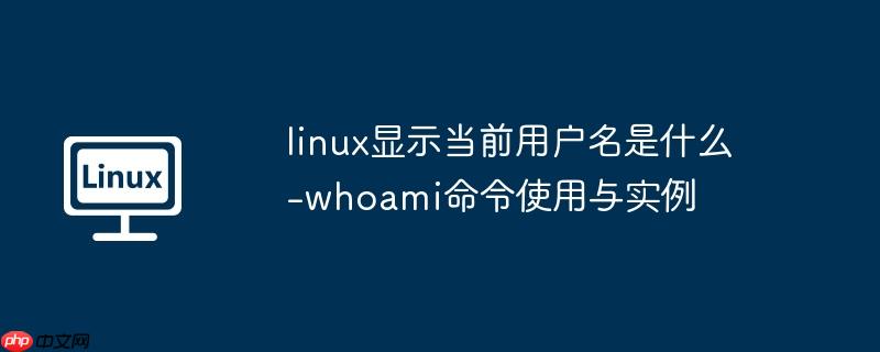 linux顯示當前用戶名是什么-whoami命令使用與實例-小浪學習網