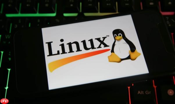 如何創(chuàng)建Linux交換分區(qū) swap空間添加與激活方法
