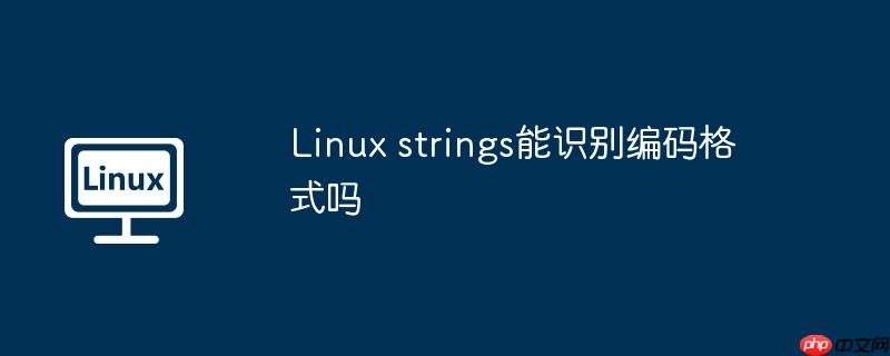Linux strings能識別編碼格式嗎-小浪學習網