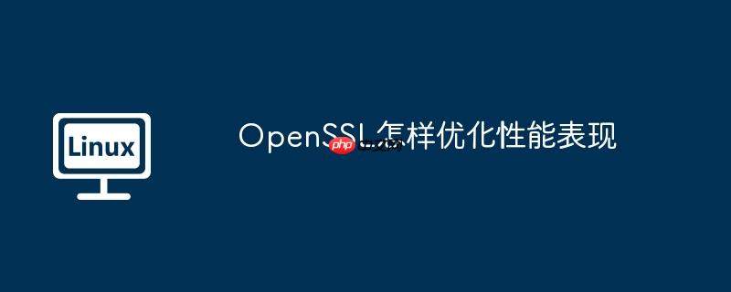 OpenSSL怎樣優化性能表現-小浪學習網