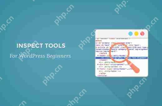 Inspect Element 基礎知識：為 DIY 用戶定制 WordPress-小浪學習網
