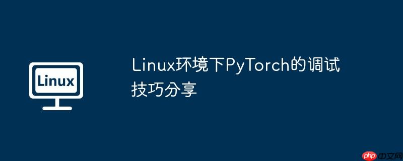 Linux環(huán)境下PyTorch的調(diào)試技巧分享-小浪學(xué)習(xí)網(wǎng)