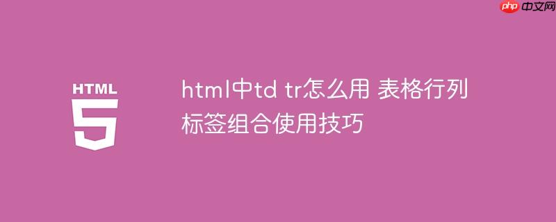 html中td tr怎么用 表格行列標簽組合使用技巧-小浪學習網