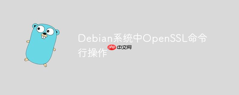 Debian系統中OpenSSL命令行操作-小浪學習網