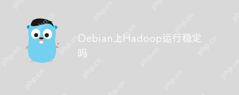 Debian上Hadoop運(yùn)行穩(wěn)定嗎-小浪學(xué)習(xí)網(wǎng)