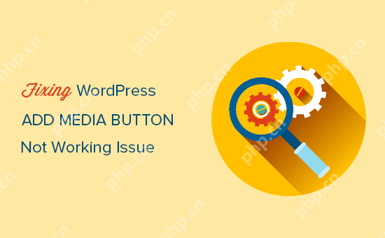如何修復添加媒體按鈕在 WordPress 中不起作用的問題-小浪學習網