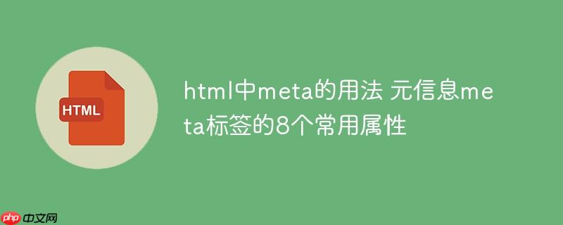 html中meta的用法 元信息meta標簽的8個常用屬性-小浪學習網