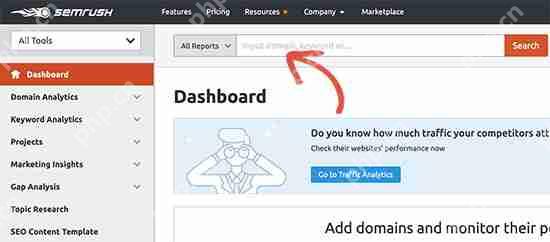 如何查看人們用來查找您的 WordPress 網站的關鍵字