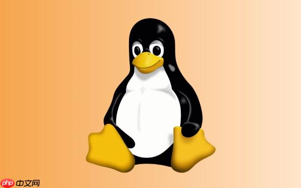 如何查看Linux用戶的登錄記錄？last與lastlog命令解析-小浪學習網
