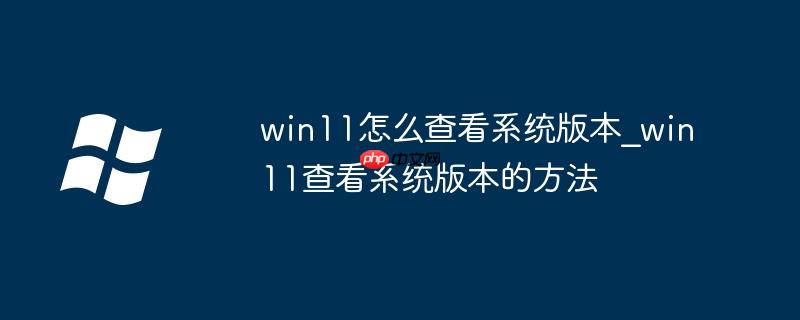 win11怎么查看系統版本_win11查看系統版本的方法
