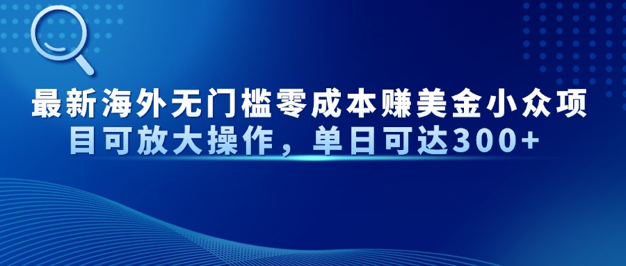 （14542期）最新海外無(wú)門檻零成本賺美金小眾項(xiàng)目可放大操作，單日可達(dá)300+ -小浪學(xué)習(xí)網(wǎng)