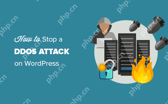 如何阻止和防止 WordPress 上的 DDoS 攻擊-小浪學習網
