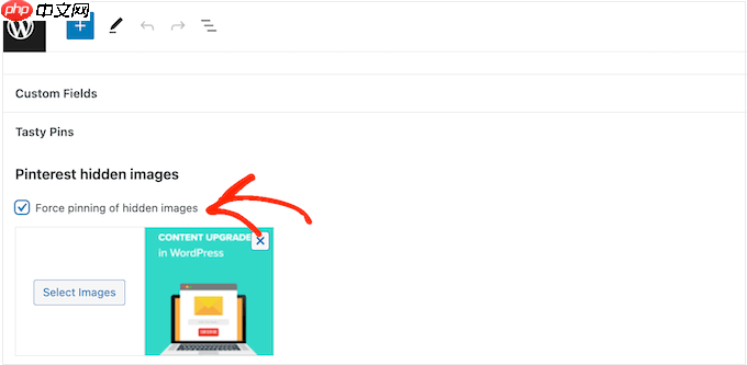如何在 WordPress 博客文章中隱藏 Pinterest 圖像