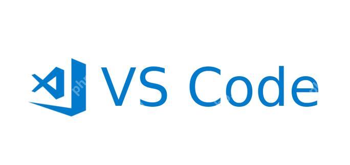 VSCode 插件更新后導致編輯器崩潰的原因及解決辦法-小浪學習網