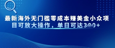 最新海外無門檻美金小眾項目可放大操作，單日可達3張-小浪學習網