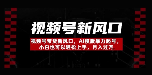 視頻號帶貨新風口，AI模版暴力起號，小白也可以輕松上手，月入過W-小浪學習網(wǎng)