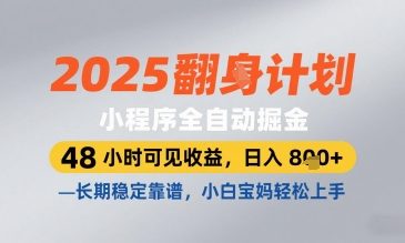 2025小程序全自動掘金，48 小時可見收益，日入8張，長期穩定靠譜，小白寶媽輕松上手【揭秘】-小浪學習網