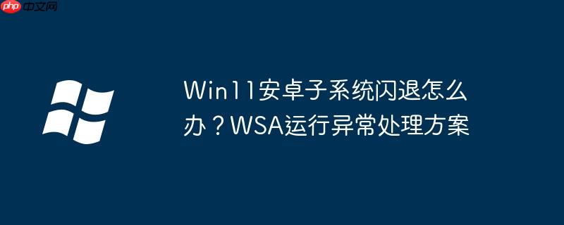 Win11安卓子系統閃退怎么辦？WSA運行異常處理方案