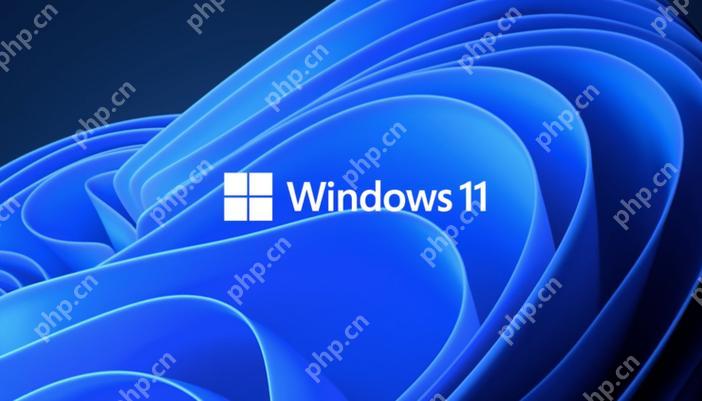 win11家庭版怎么升級專業版 win11家庭版轉專業版指南-小浪學習網