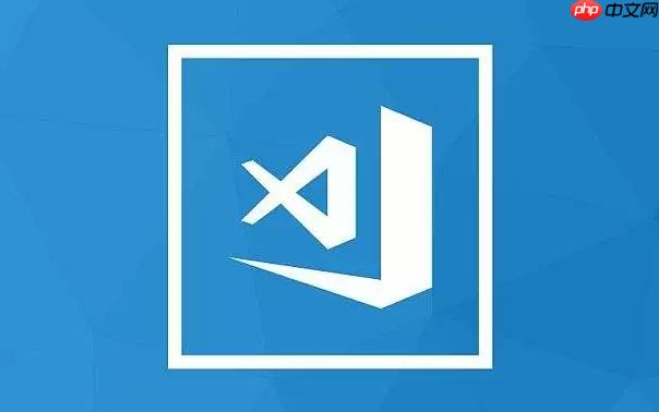 vscode如何運行halide vscode圖像算法開發指南
