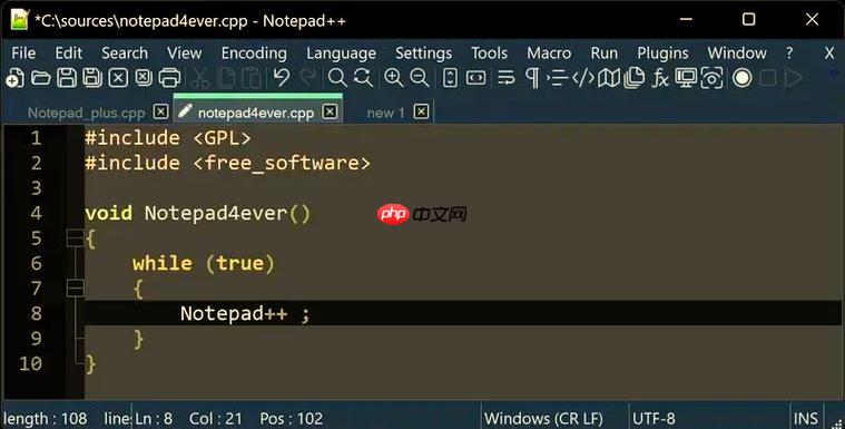 Notepad2與Notepad++的功能對比與適用場景-小浪學(xué)習(xí)網(wǎng)