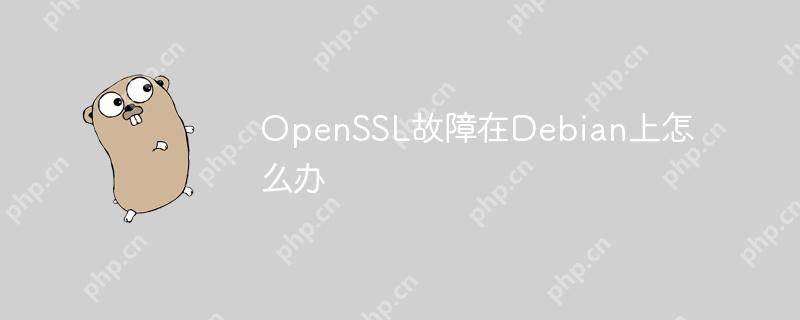 OpenSSL故障在Debian上怎么辦-小浪學習網