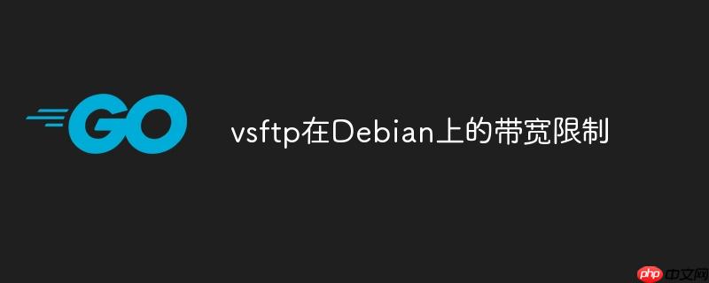 vsftp在Debian上的帶寬限制-小浪學(xué)習(xí)網(wǎng)